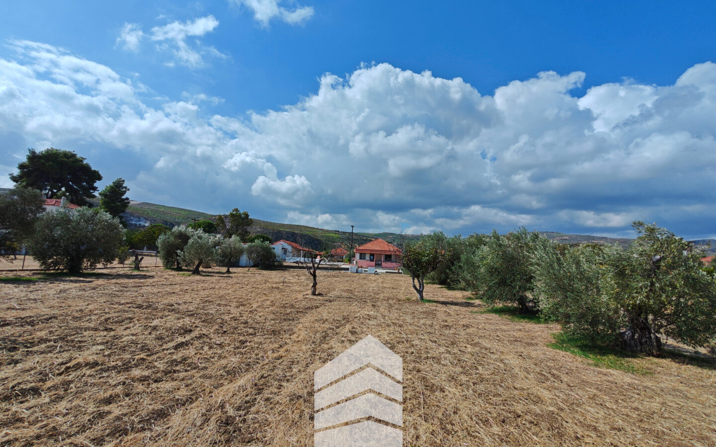 Evia Detached House With Land Near A. Anna Beach