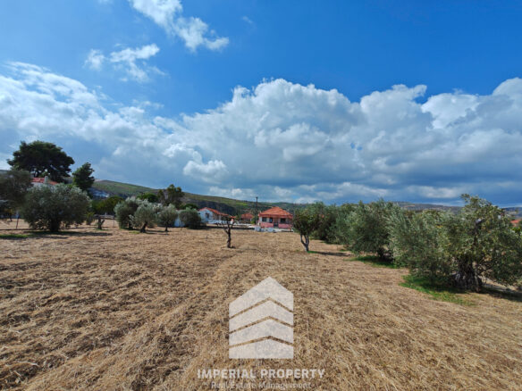 Evia Detached House With Land Near A. Anna Beach