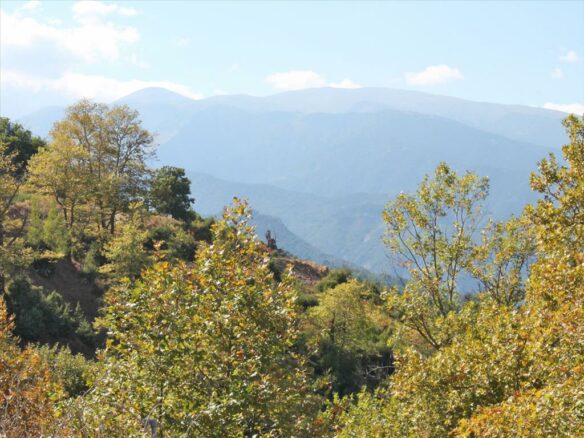 Land In Dion, Greece