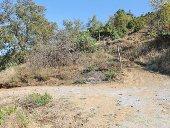 Land In Dion, Greece