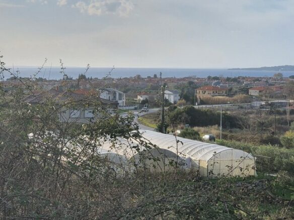 Land In Sithonia, Greece