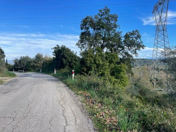 Land In Corfu, Greece