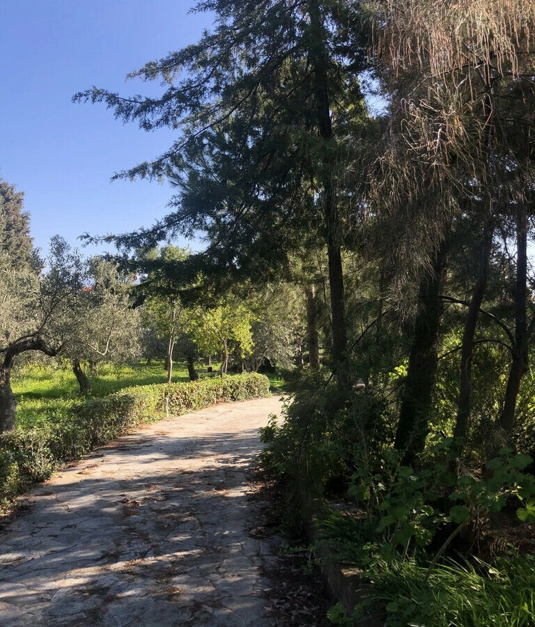 3-bedroom Detached House In Avlida, Greece (411 M²)