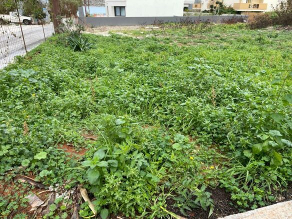 Land In Platanias, Greece