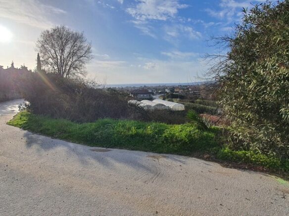 Land In Sithonia, Greece