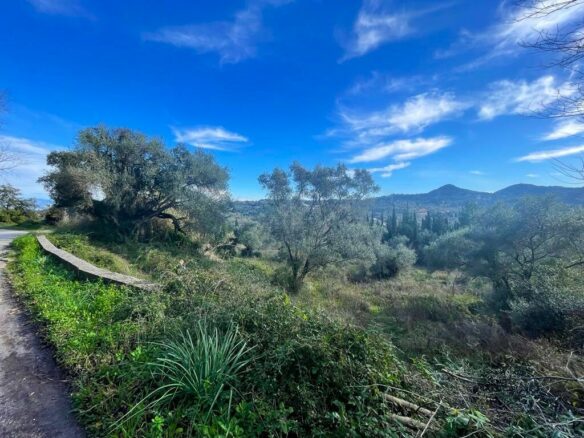 Land In Corfu, Greece