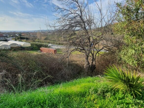 Land In Sithonia, Greece