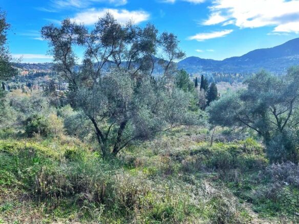 Land In Corfu, Greece