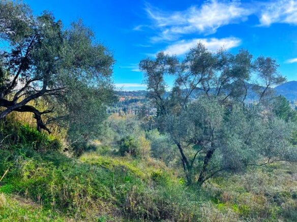 Land In Corfu, Greece