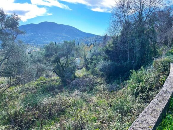 Land In Corfu, Greece