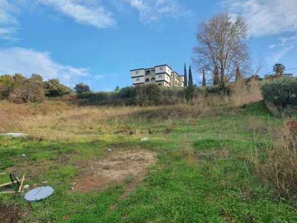 Land In Sithonia, Greece