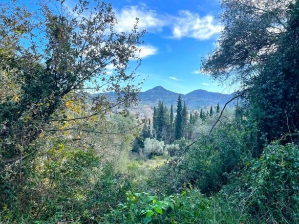 Land In Corfu, Greece