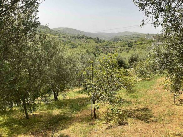 Detached House In Tetrachori, Greece (55 M²)