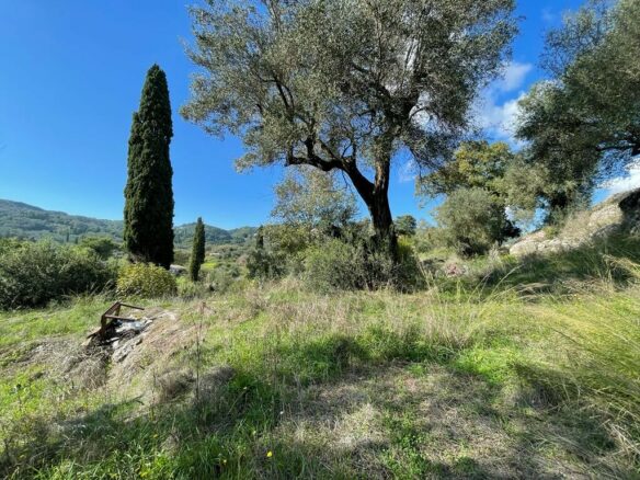 Land In Corfu, Greece