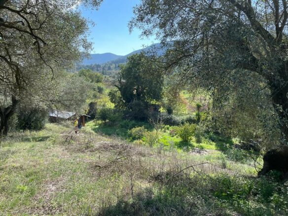 Land In Corfu, Greece