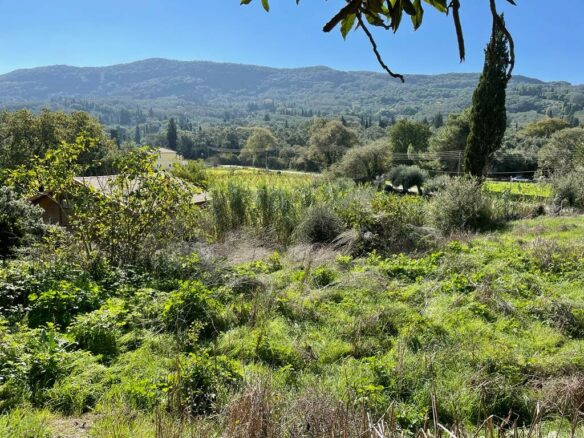 Land In Corfu, Greece