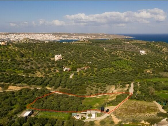 Land In Siteia, Greece