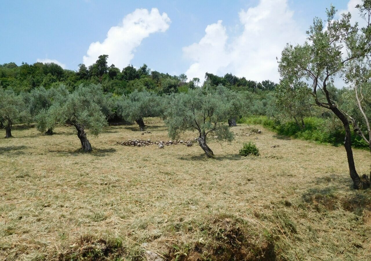 Land In Greece