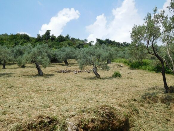 Land In Greece