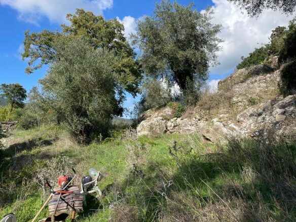 Land In Corfu, Greece