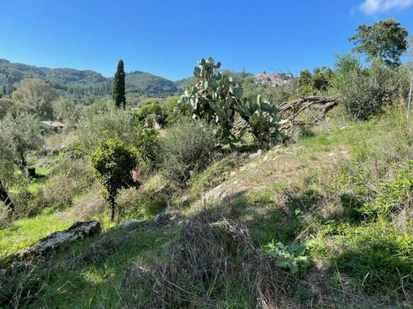 Land In Corfu, Greece