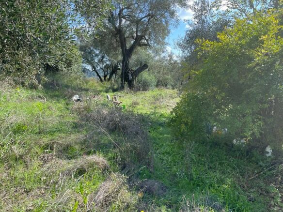 Land In Corfu, Greece