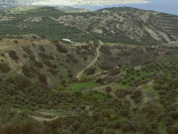 Land In Siteia, Greece
