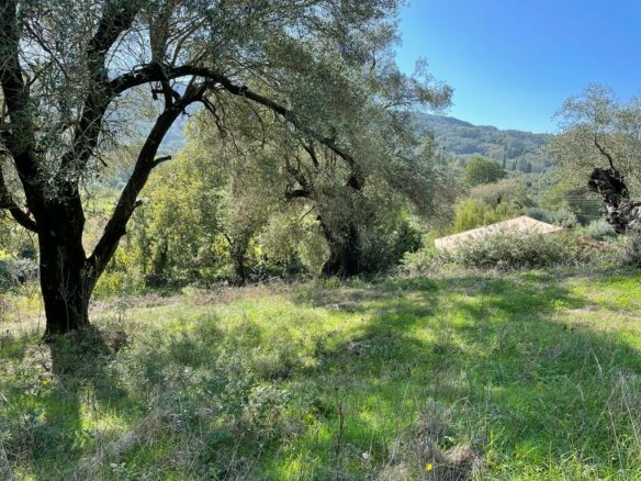 Land In Corfu, Greece