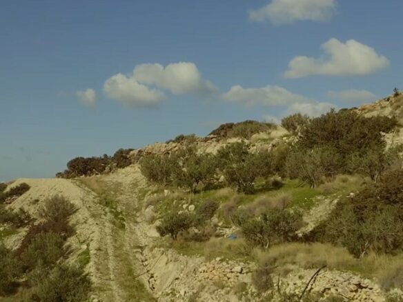 Land In Siteia, Greece