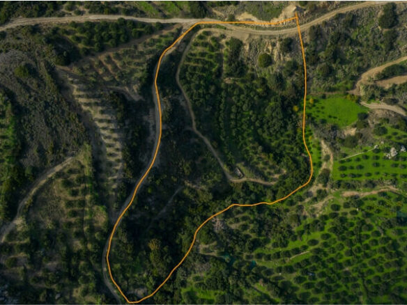 Land In Siteia, Greece