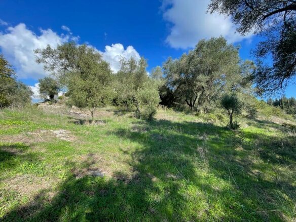 Land In Corfu, Greece