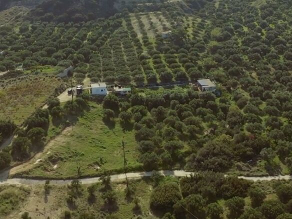 Land In Siteia, Greece