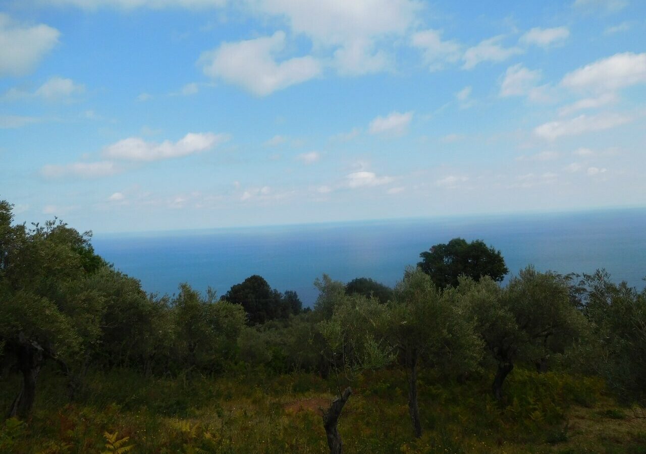 Land In Greece