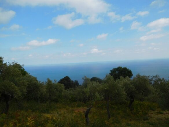 Land In Greece