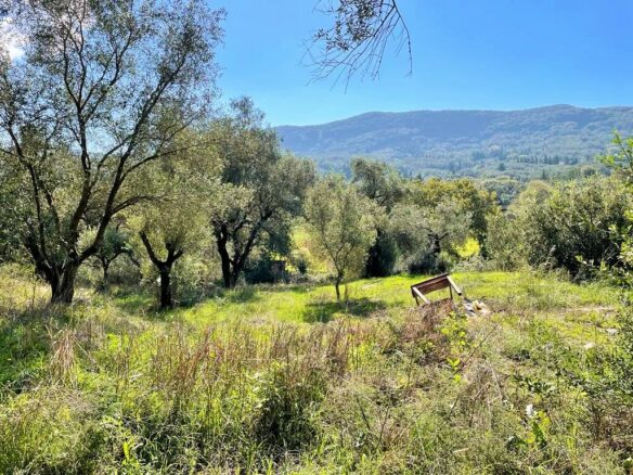 Land In Corfu, Greece