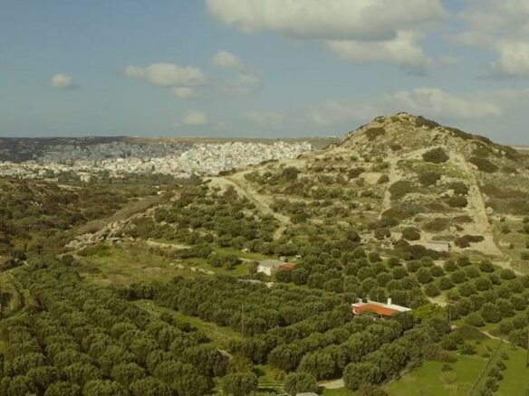Land In Siteia, Greece