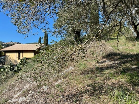 Land In Corfu, Greece