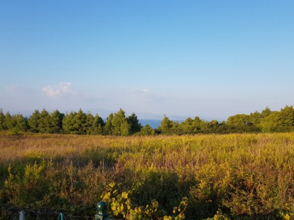 Detached House With Garden In Kassandra, Chalkidiki