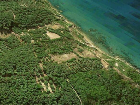 Land Plot 35000 M² Available In Corfu’s Landscape