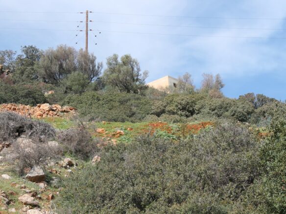 Land Parcel Of 1770 M² Available In Crete Region