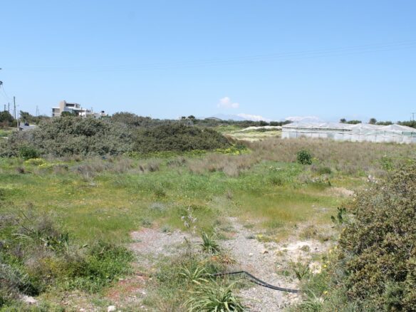 Land In Ierapetra, Greece
