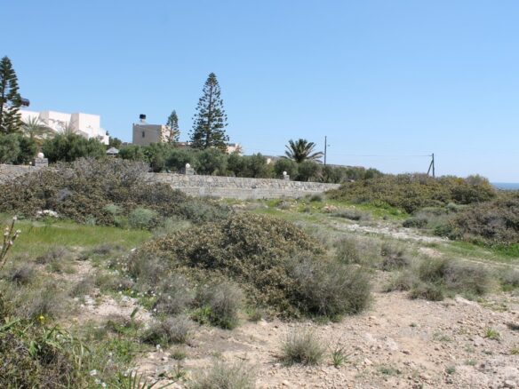 Land In Ierapetra, Greece