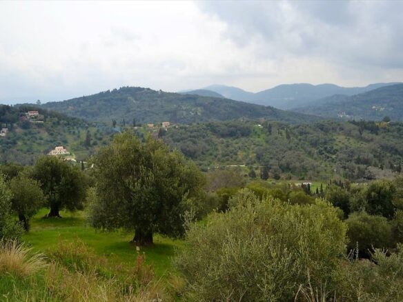 Land In Corfu, Greece (75 M²)