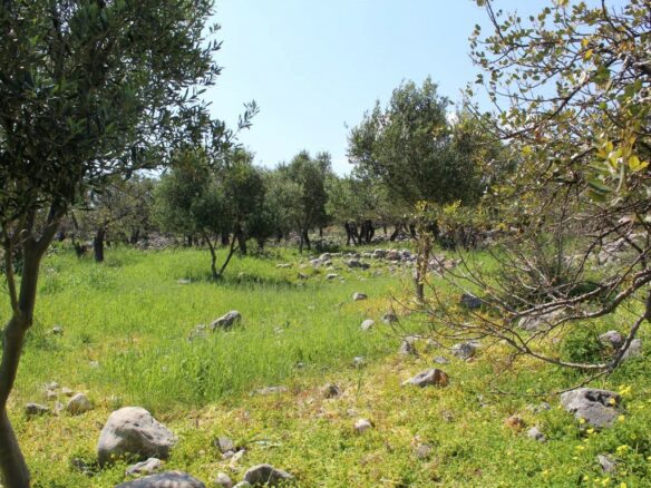Land In Agios Nikolaos, Greece