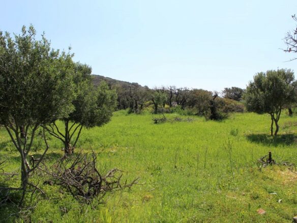 Land In Agios Nikolaos, Greece