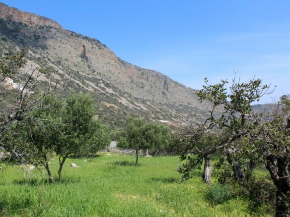Land In Agios Nikolaos, Greece