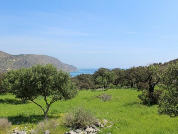 Land In Agios Nikolaos, Greece