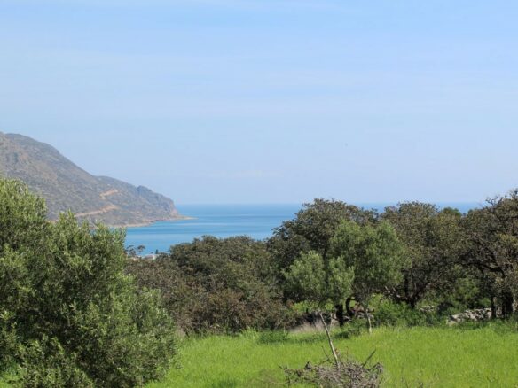 Land In Agios Nikolaos, Greece
