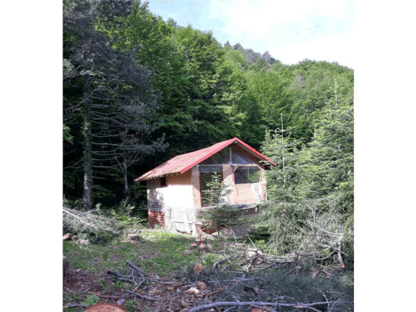 Land In Katerini, Greece