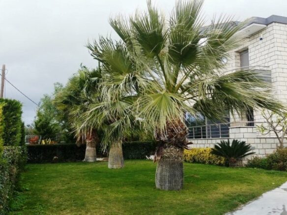 4-bedroom Detached House In Heraclion Cretes, Greece (300 M²)